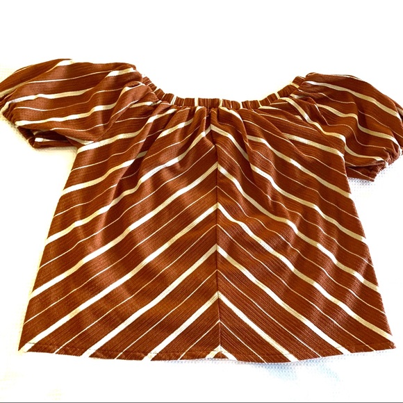 Anthropologie Orange Elodie Stripe Blouse - Picture 3 of 10